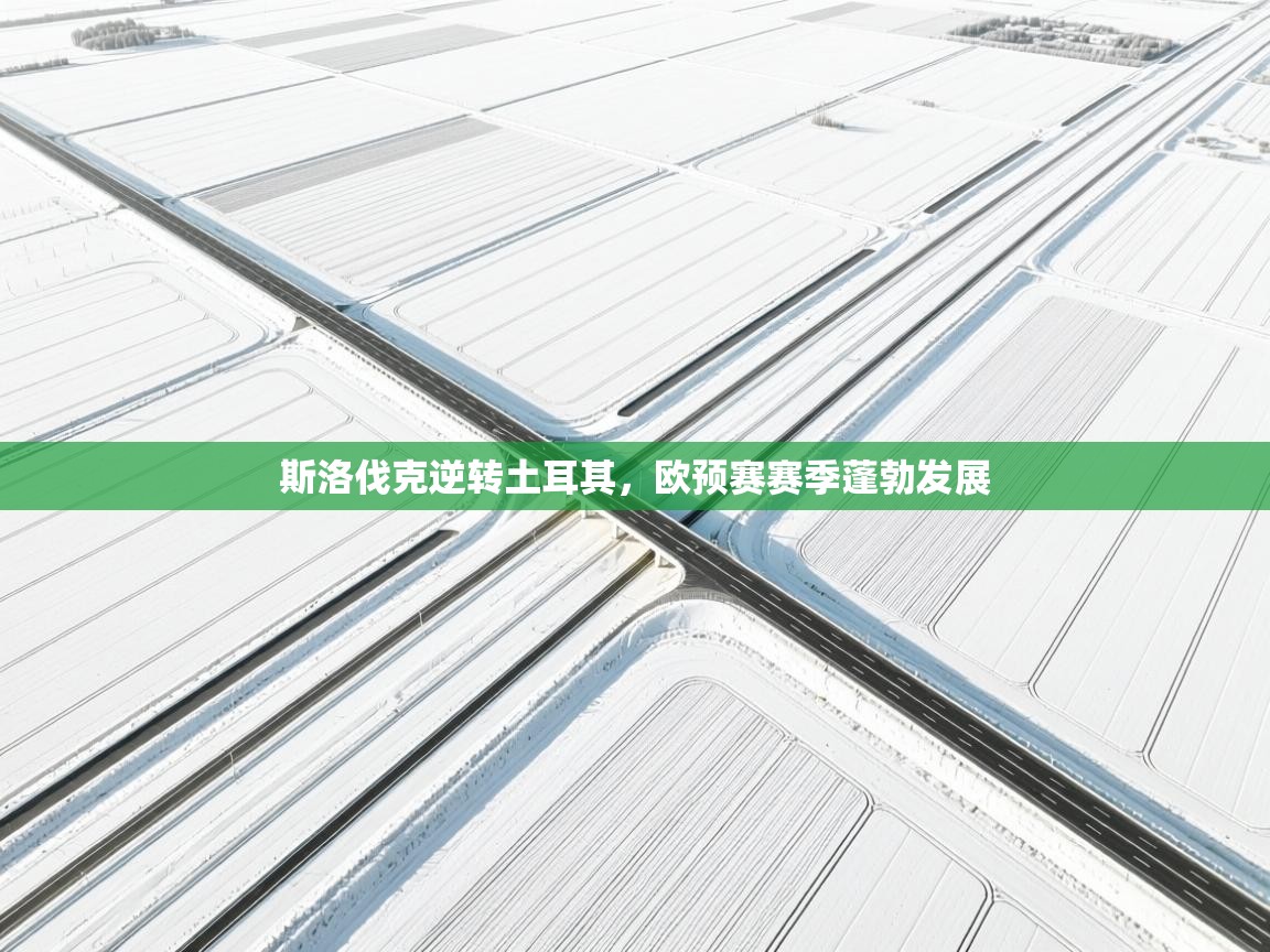 斯洛伐克逆转土耳其,欧预赛赛季蓬勃发展 第2张