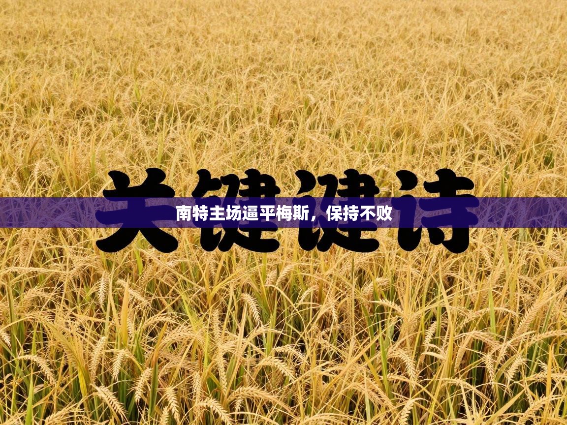 南特主场逼平梅斯，保持不败  第1张