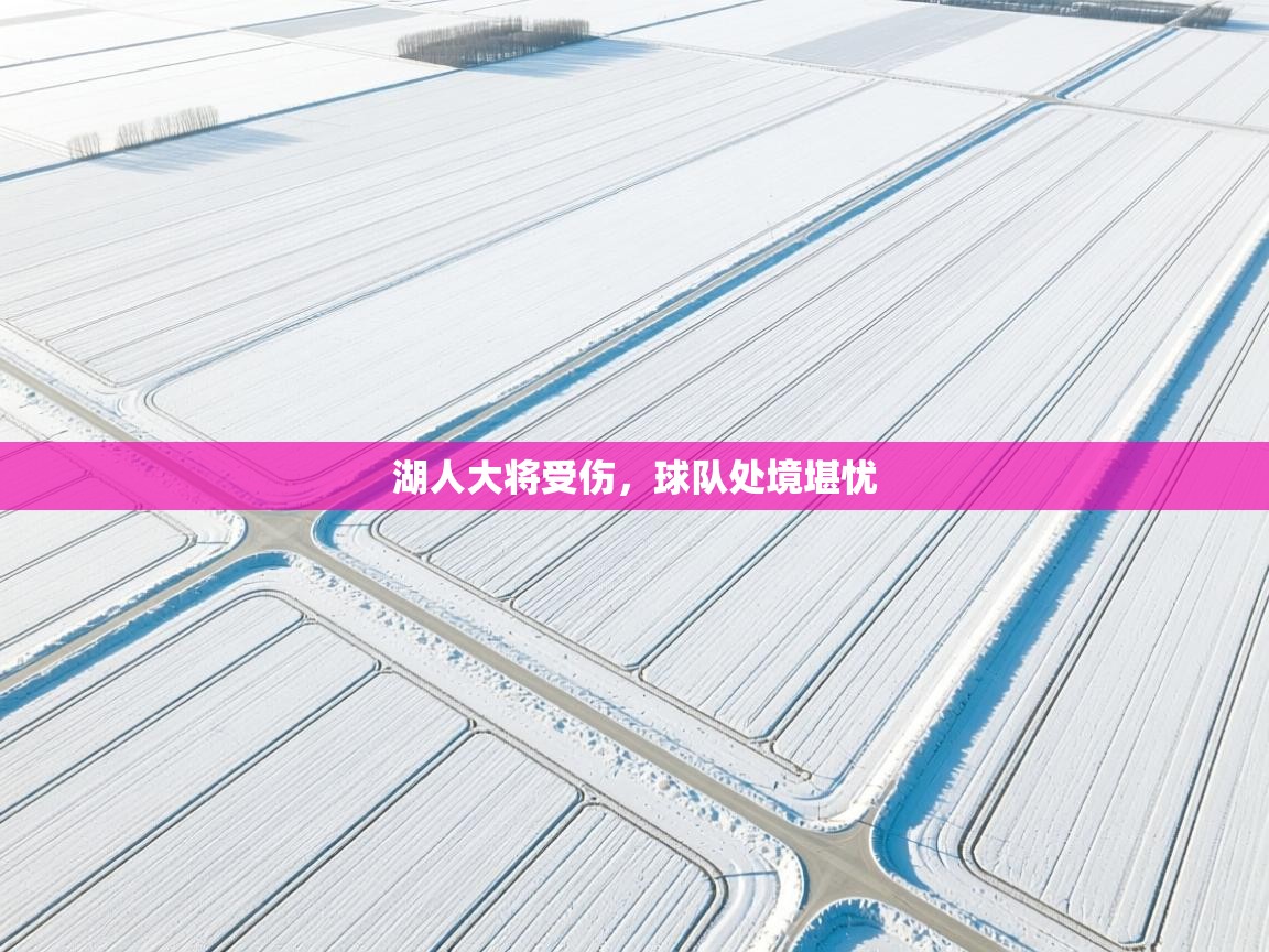 湖人大将受伤，球队处境堪忧