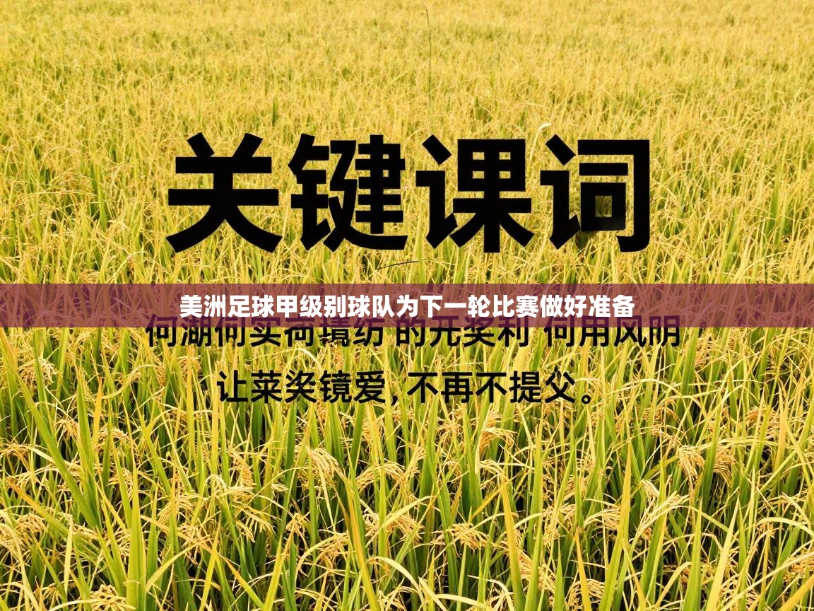 美洲足球甲级别球队为下一轮比赛做好准备 第1张
