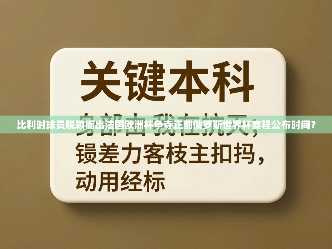 比利时球员脱颖而出法国欧洲杯争夺正酣俄罗斯世界杯赛程公布时间？  第2张